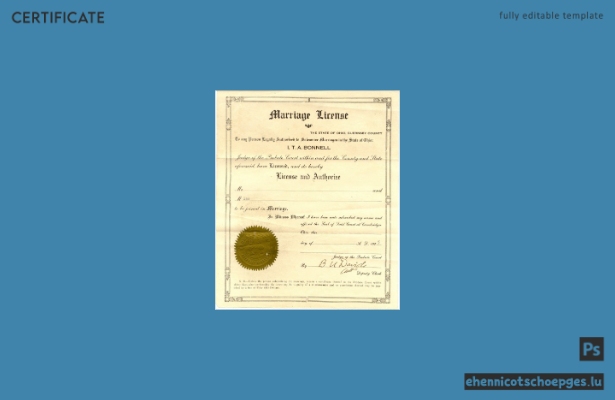 USA Ohio Guernsey County Beispiel einer Heiratsurkunde (Vorschau)